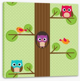 Owls Stretched Canvas 87552641