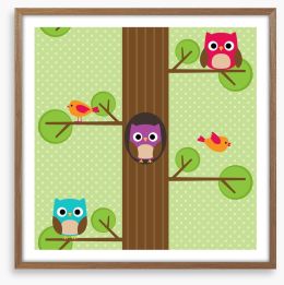 Owls Framed Art Print 87552641