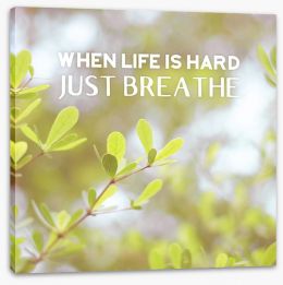 Just breathe Stretched Canvas 89045150
