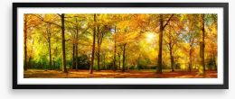 Falling light panorama Framed Art Print 89529230