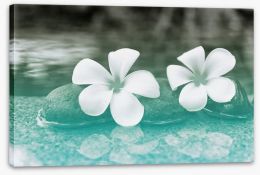 Purity blooms Stretched Canvas 89618204