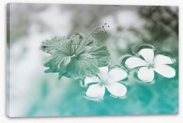 Floating hibiscus Stretched Canvas 89618218