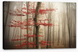 Last Autumn leaves Stretched Canvas 89851738