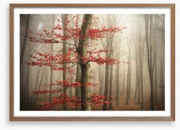 Last Autumn leaves Framed Art Print 89851738