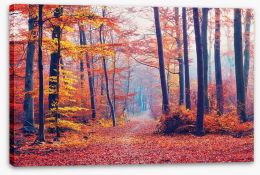 Autumn forest mist Stretched Canvas 90869736