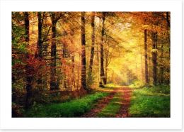 Forests Art Print 91078750