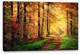 Forests Stretched Canvas 91078750