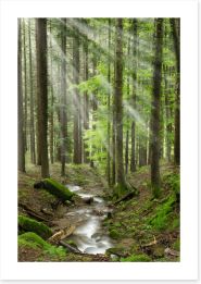 Forests Art Print 91098692