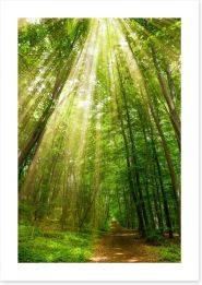 Forests Art Print 91261550