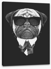 Suave pug Stretched Canvas 91590784