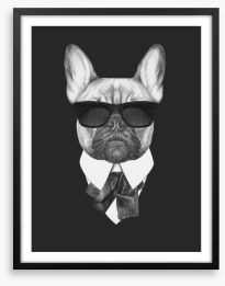 Suave french bulldog Framed Art Print 91591773