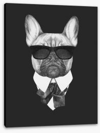 Suave french bulldog Stretched Canvas 91591773