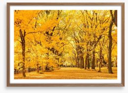 Golden fall in Central Park Framed Art Print 91734842