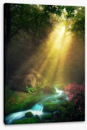 Rivers Stretched Canvas 91947150