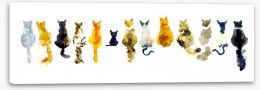 Odd cat out Stretched Canvas 92003328