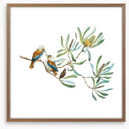 Kookaburra grove Framed Art Print 92329631