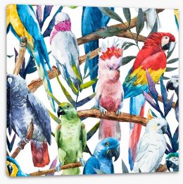 Birds Stretched Canvas 92329753