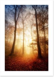 Forests Art Print 92600364
