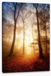 Forests Stretched Canvas 92600364
