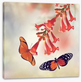 Butterflies Stretched Canvas 93576504