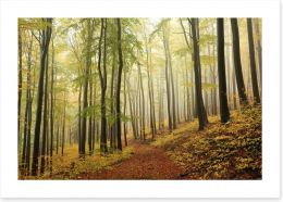Forests Art Print 94198361