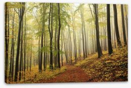 Forests Stretched Canvas 94198361