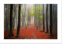 Forests Art Print 95071799