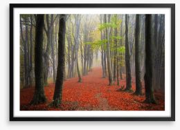 Forests Framed Art Print 95071799