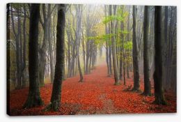 Forests Stretched Canvas 95071799