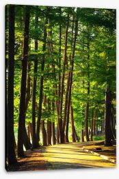 Forests Stretched Canvas 9533705