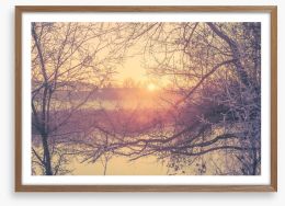Glacé branch sunrise Framed Art Print 95349144