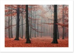 Forests Art Print 96004080