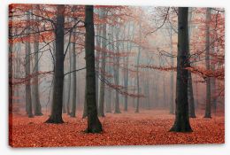 Forests Stretched Canvas 96004080