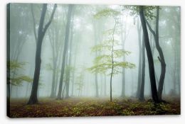 Forests Stretched Canvas 96103113