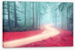 Forests Stretched Canvas 97830009