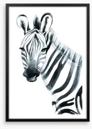 Watercolour zebra Framed Art Print 97951290