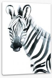 Watercolour zebra Stretched Canvas 97951290