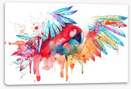 Tropical parrot Stretched Canvas 98453842