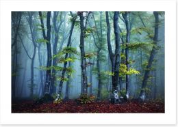 Forests Art Print 99226427
