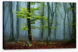 Forests Stretched Canvas 99226437