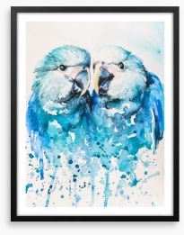 Little blue macaw Framed Art Print 99355386