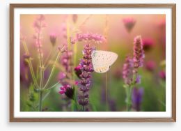 In the butterfly meadow Framed Art Print 99856627