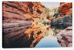 Watering hole reflections Stretched Canvas CS0007