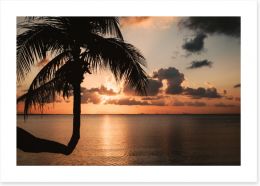 Sunset and palm Art Print CS0015