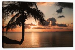 Sunset and palm Stretched Canvas CS0015