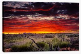 Red centre sunset Stretched Canvas CS0016