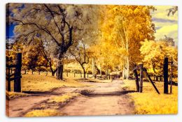 The yellow path Stretched Canvas FB0006