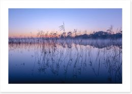 Seaford wetlands Art Print LH0013