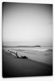 North Haven beach at dusk Stretched Canvas MC005