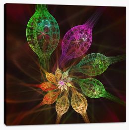 Crystal flowers Stretched Canvas PA0019